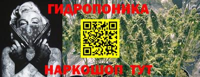 mdpv Новокубанск
