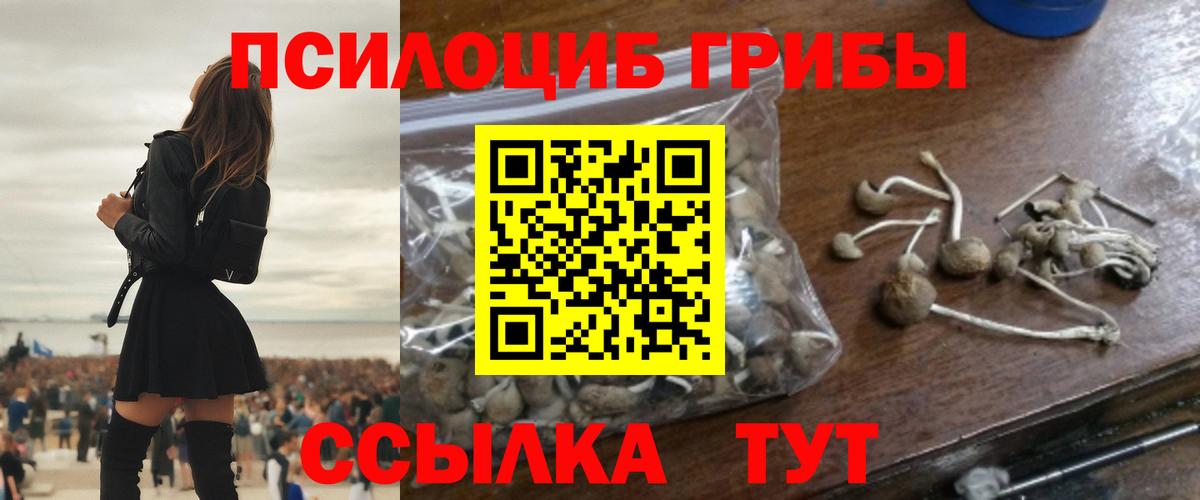 Южноуральск  Псилоцибиновые грибы прущие грибы  Вход с VPN 